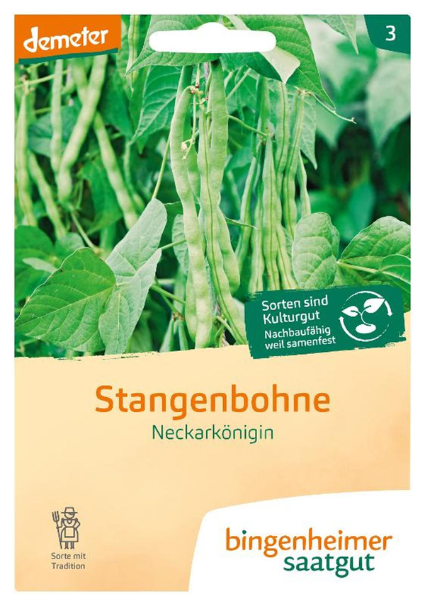 Produktfoto zu Stangenbohnen Neckarkönigin SAATGUT