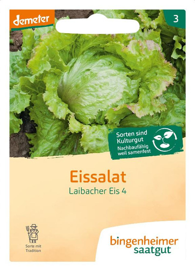 Produktfoto zu Eissalat Laibacher SAATGUT