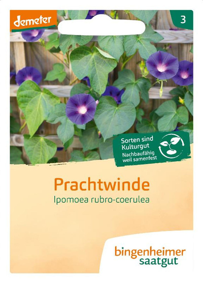 Produktfoto zu Prachtwinde, SAATGUT