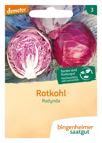 Produktfoto zu Rotkohl Rodynda SAATGUT