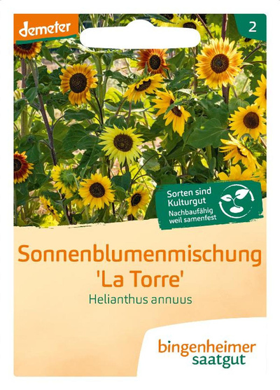 Produktfoto zu Sonnenblume "La Torre" SAATGUT