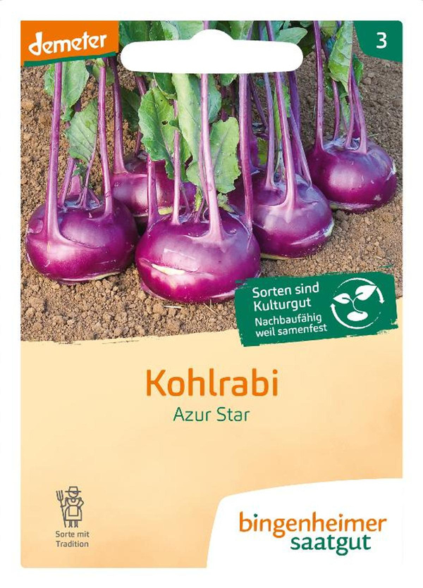 Produktfoto zu Kohlrabi blau, Azur Star SAATGUT