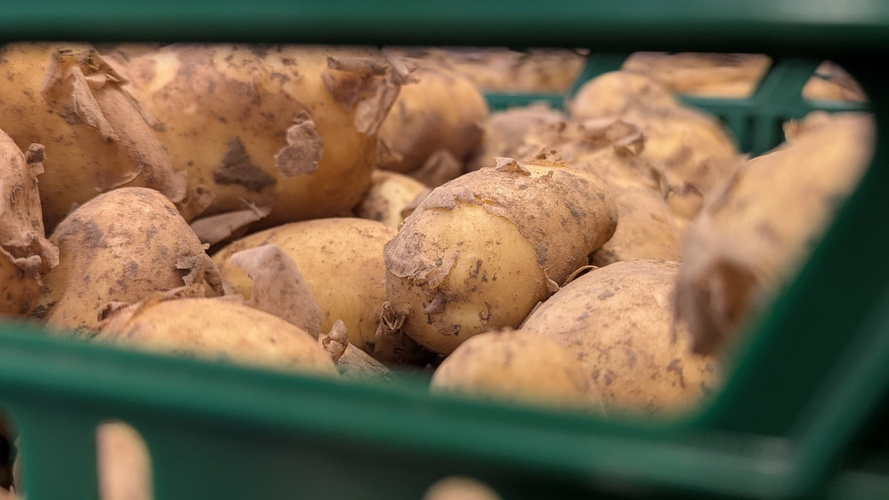 KI generiert: Kartoffeln liegen in einer grünen Kiste.