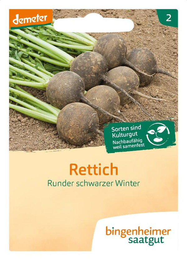 Produktfoto zu Rettich Scharzer Winter SAATGUT