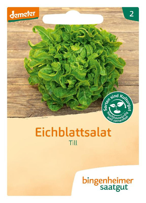 Produktfoto zu Pflücksalat Eichblarr Till SAATGUT