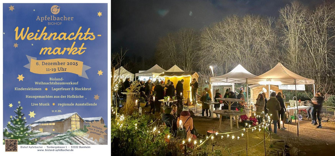 KI generiert: Weihnachtsmarkt mit Lichtern und Zelten, begleitet von Plakat: "Apfelbacher Biohof Weihnachtsmarkt, 6. Dezember 2025".