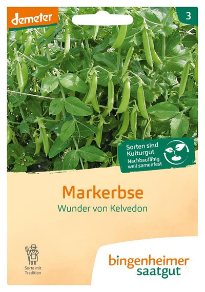 Produktfoto zu Markerbse "Wunder v. Kelvedon", SAATGUT