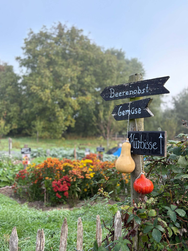 KI generiert: Schild in einem Garten mit den Worten: "Beerenobst, Gemüse, Kürbisse" und Kürbissen daran hängend.