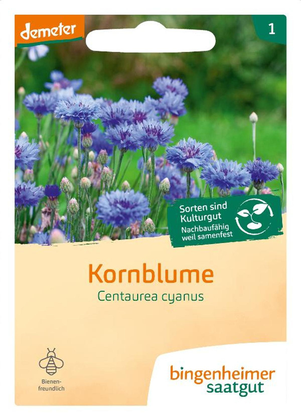 Produktfoto zu Kornblume SAATGUT