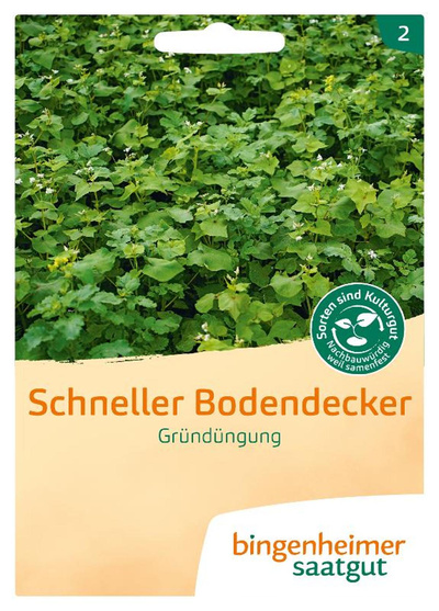 Produktfoto zu Schneller Bodendecker SAATGUT
