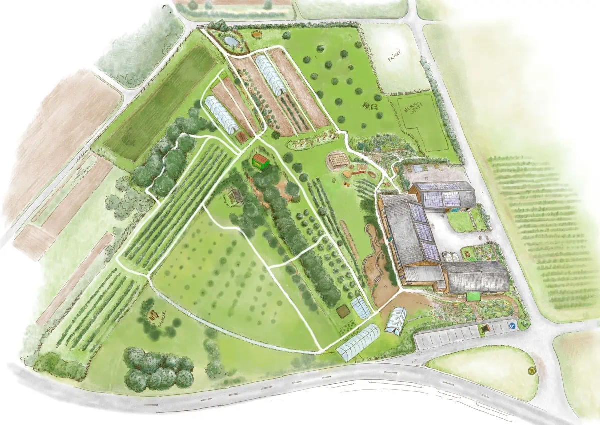 KI generiert: Das Bild zeigt einen detaillierten Plan eines landwirtschaftlichen Geländes mit verschiedenen Anbauflächen, Gewächshäusern und einem Gebäudekomplex. Der Schwerpunkt liegt auf der Anordnung von landwirtschaftlichen Strukturen und Grünflächen.