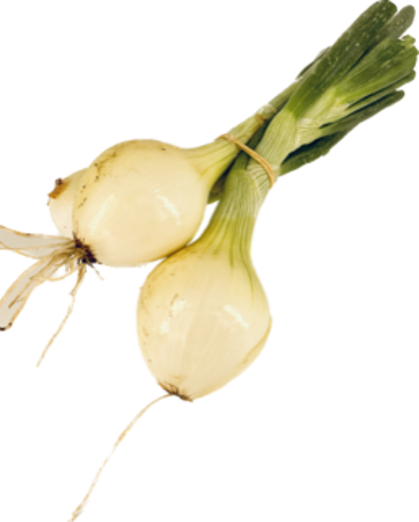 Produktfoto zu APFELBACHERs Gemüsezwiebel im Bund mit Laub, ca. 300 g