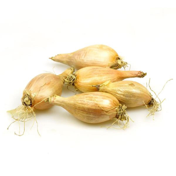 Produktfoto zu Schalotten aus Venlo