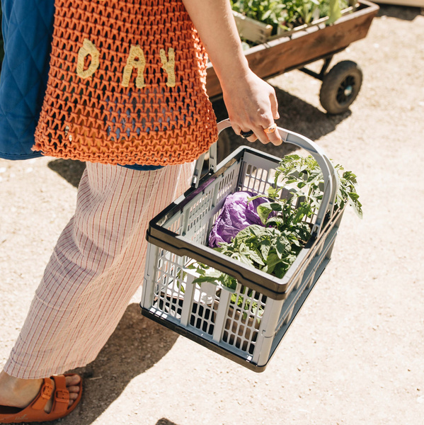 KI generiert: Eine Person trägt einen Korb mit frischem Gemüse und Pflanzen. Auf der Tasche steht "DAY".