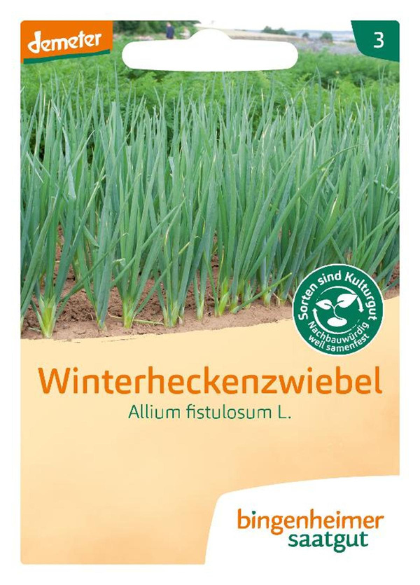 Produktfoto zu SG Winterheckenzwiebel