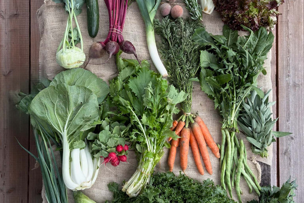 KI generiert: Verschiedene frische Gemüsearten auf einem Jutesack angeordnet, darunter Karotten, Radieschen und Salatblätter.