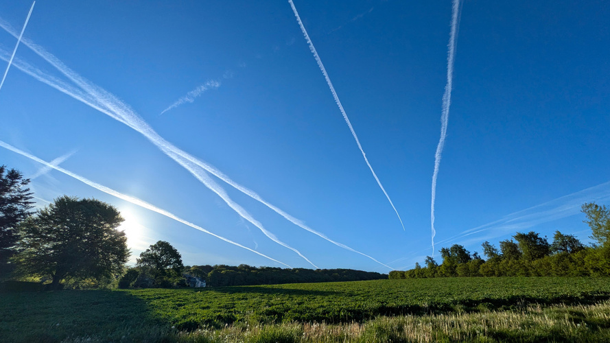 KI generiert: Blauer Himmel mit Kondensstreifen über einer grünen Wiese und Bäumen im Sonnenlicht.