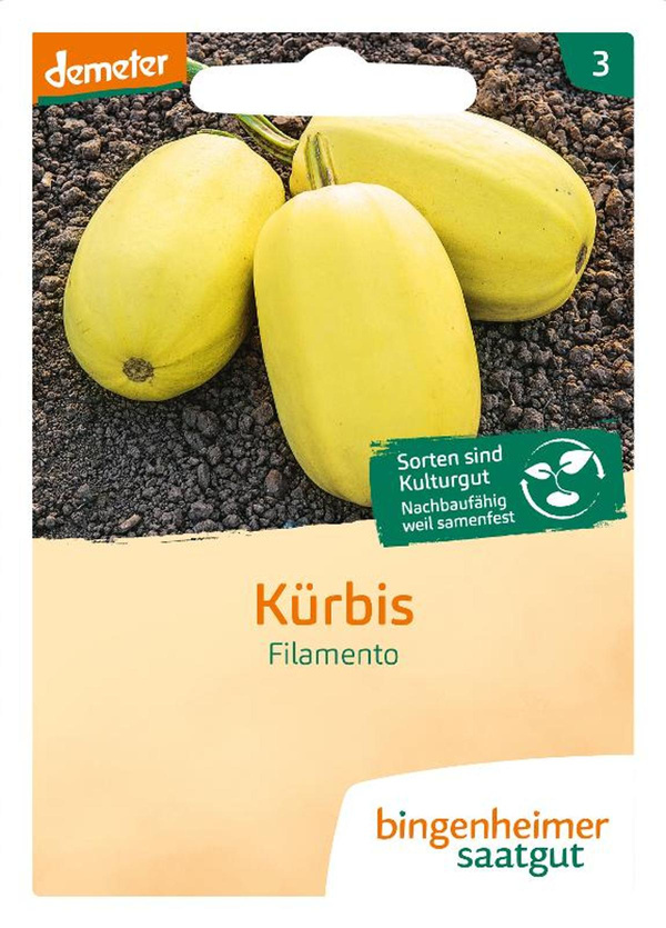 Produktfoto zu Spaghetti-Kürbis  SAATGUT