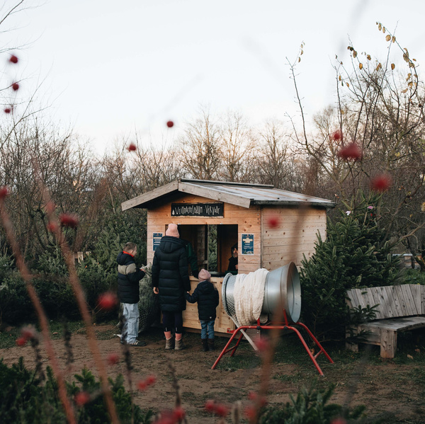 KI generiert: Ein Weihnachtsbaum-Verkaufsstand umgeben von Bäumen und Kunden.