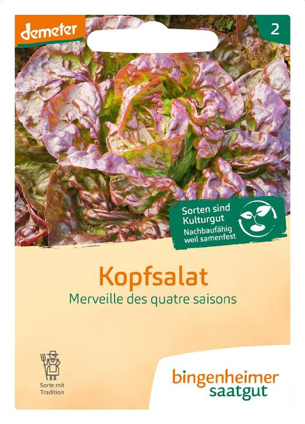 Produktfoto zu Kopfsalat, Merveile des quatre saisons SAATGUT