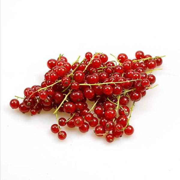 Produktfoto zu Rote Johannisbeeren Schale ca 250gr