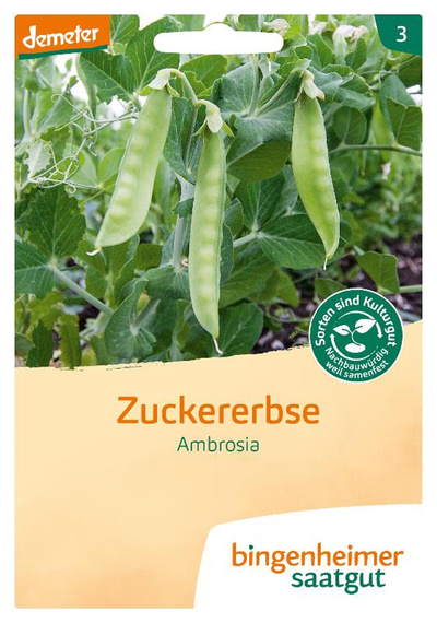 Produktfoto zu Zuckererbse Ambrosia,  SAATGUT