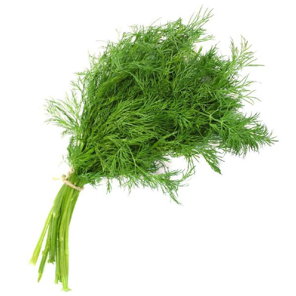 Produktfoto zu Dill aus dem Vorgebirge
