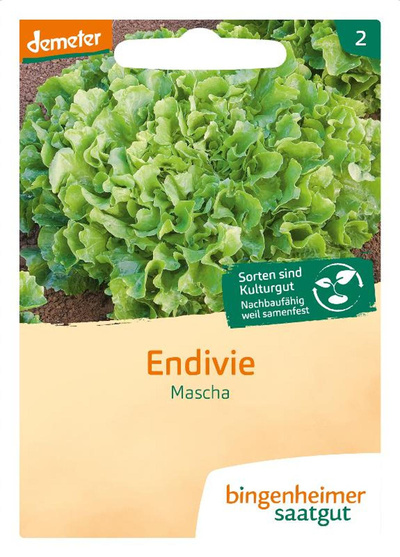 Produktfoto zu Endiviensalat Diva SAATGUT