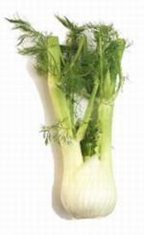 Produktfoto zu Fenchel aus Venlo