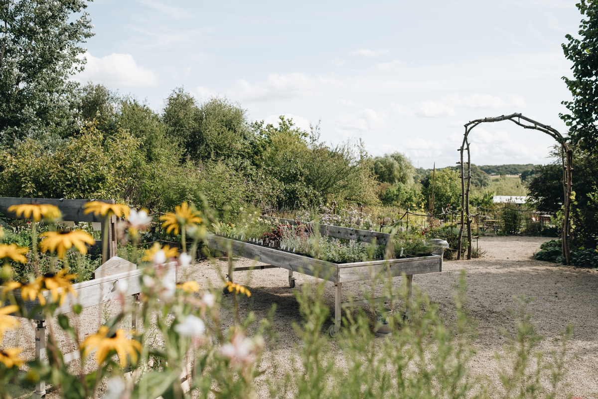 KI generiert: Garten mit Blumenbeeten, umgeben von Natur. Ein Laubengang steht im Hintergrund.