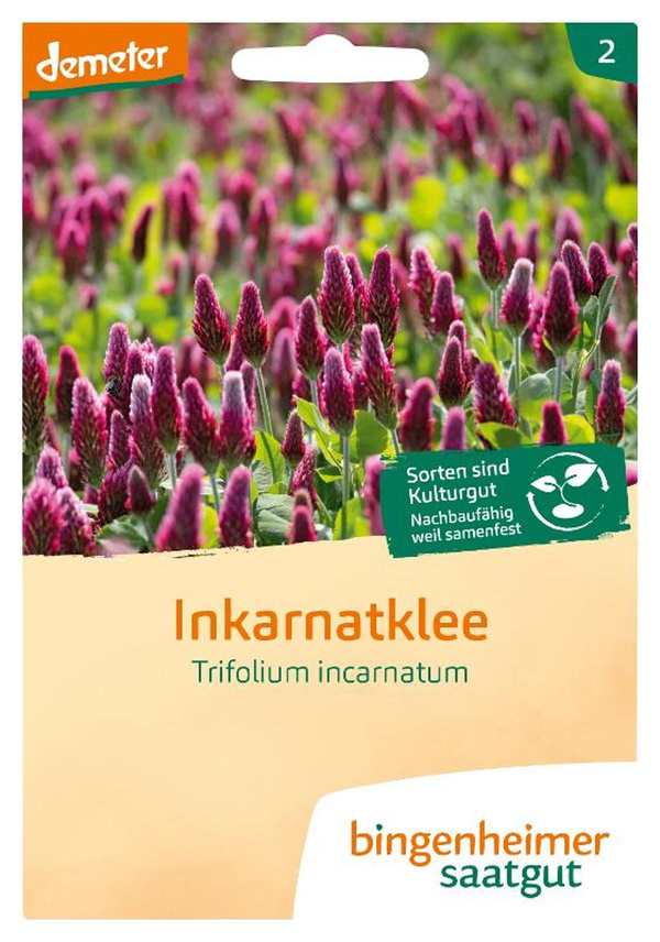 Produktfoto zu Inkarnatklee SAATGUT