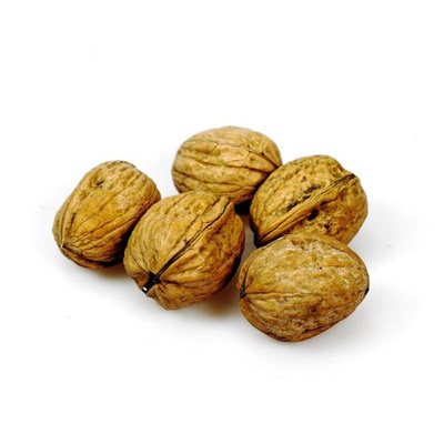 Produktfoto zu Walnüsse aus dem Perigord