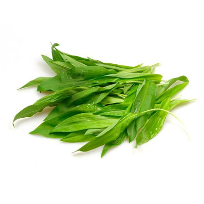 Produktfoto zu Bärlauch, Beutel, ca 50 gr