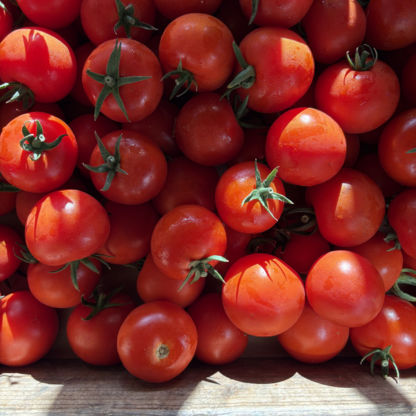 KI generiert: Frische, rote Tomaten in der Sonne.