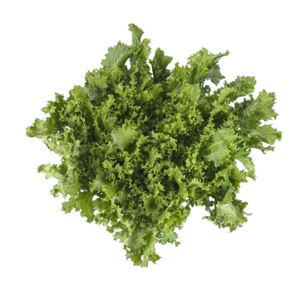 Produktfoto zu Salat Endivie 400gr+