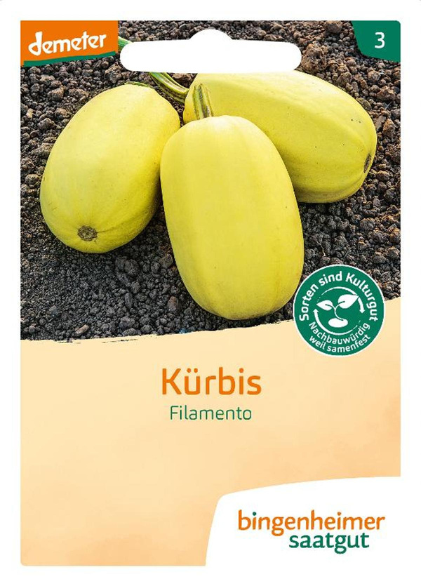 Produktfoto zu Spaghetti-Kürbis  SAATGUT