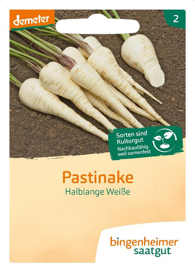 Produktfoto zu Pastinake halblang weiß SAATGUT