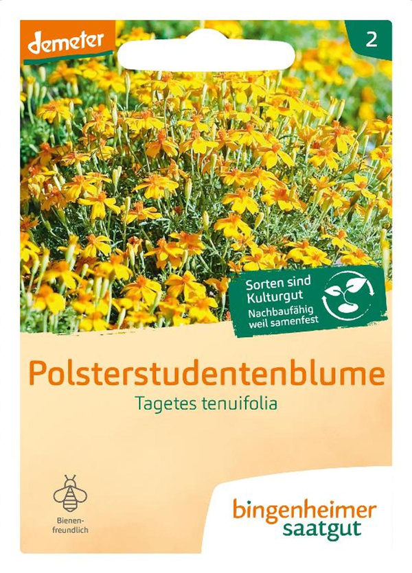 Produktfoto zu Tagetes (Polsterstudentenblume) SAATGUT