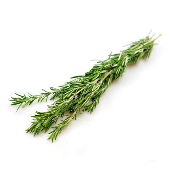 Produktfoto zu Rosmarin, Bund