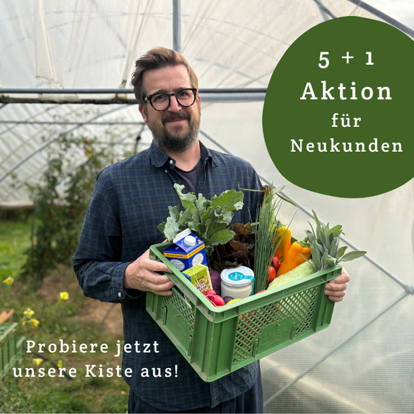 KI generiert: Ein Mann hält eine Ökokiste mit Gemüse und Blumen. Text: "5+1 Aktion für Neukunden", "Probiere jetzt unsere Kiste aus!".