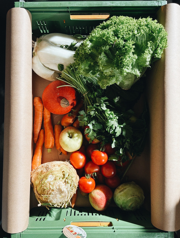 KI generiert: Eine Kiste mit frischem Gemüse und Obst, darunter Salat, Tomaten, Karotten, Äpfel und ein Kürbis.