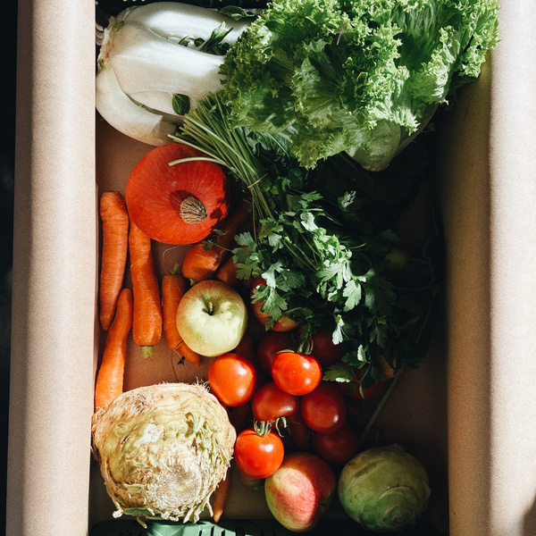 KI generiert: Frisches Gemüse und Obst in einer Kiste, darunter Karotten, Äpfel, Tomaten und Salat.