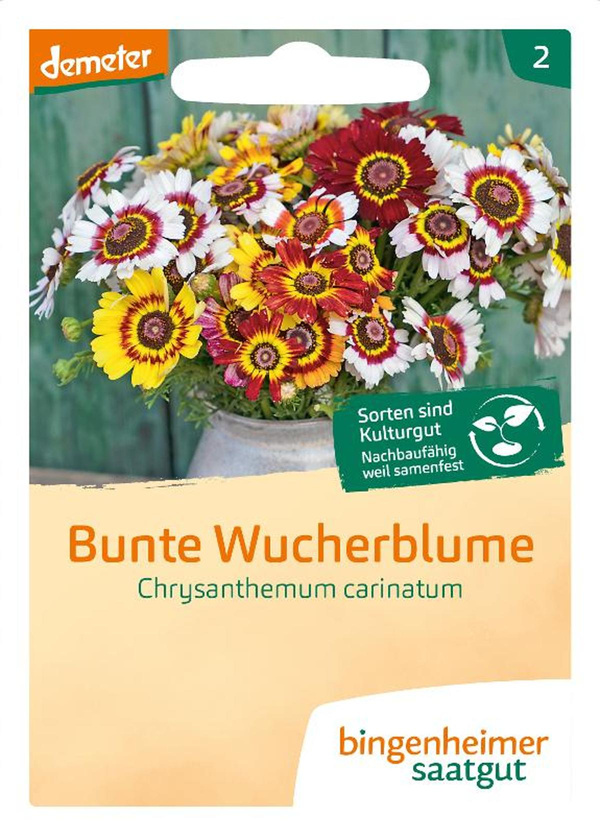 Produktfoto zu Bunte Wucherblume, SAATGUT