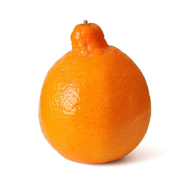 Produktfoto zu Mineolas