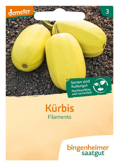 Produktfoto zu Spaghetti-Kürbis  SAATGUT