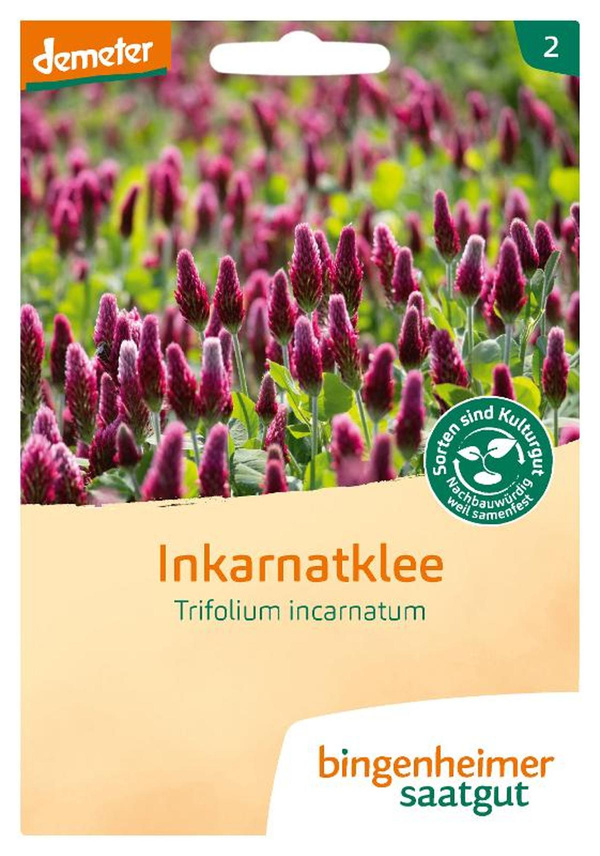 Produktfoto zu Inkarnatklee SAATGUT