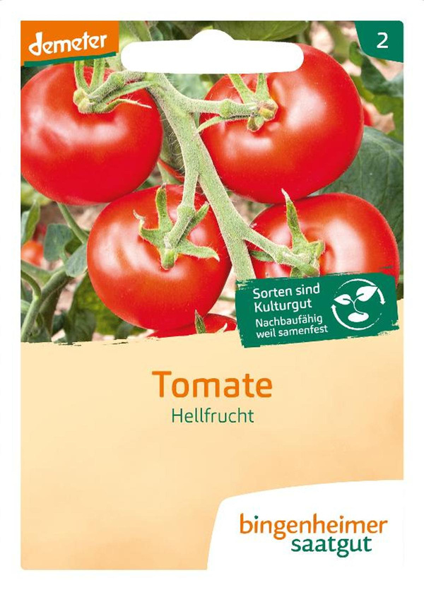 Produktfoto zu Tomate, Hellfrucht SAATGUT