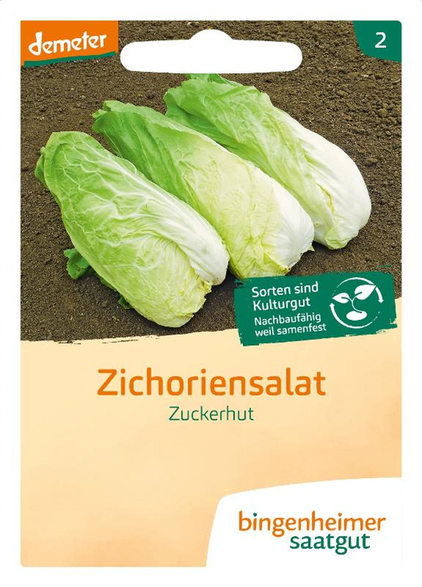 Produktfoto zu Zuckerhut SAATGUT