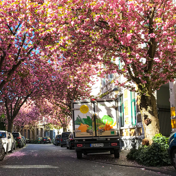 KI generiert: Eine Straße mit blühenden Kirschbäumen und einem Lieferwagen voller Gemüseabbildungen.