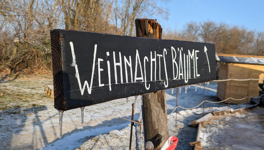KI generiert: Hinweisschild für Weihnachtsbäume im Freien, umgeben von einer winterlichen Landschaft. Text: "WEIHNACHTSBÄUME".